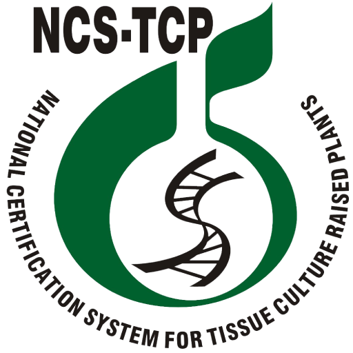 National Certification System for Tissue Culture Raised Plants (NCS-TCP)