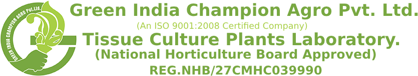 Green India Champion Agro Private Limited